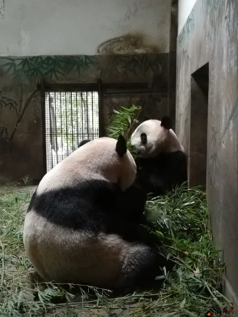杭州动物园
