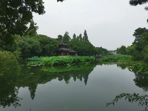 曲院风荷9