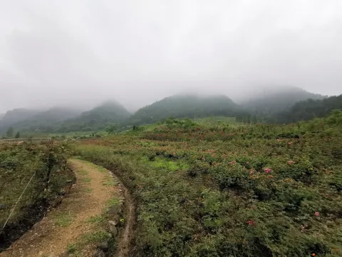浦江茜溪悠谷