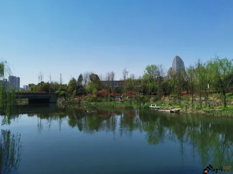 不一样的小河景致