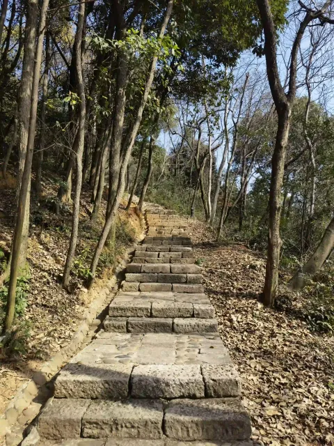 皋亭山5