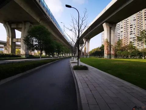 西兴大桥高20
