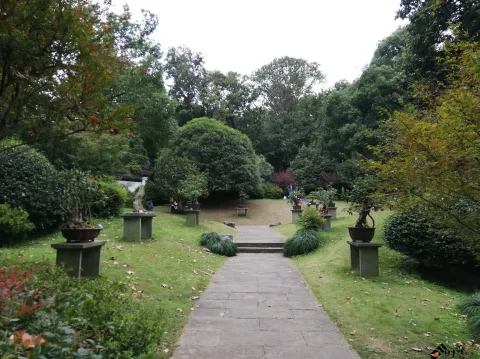 杭州植物园