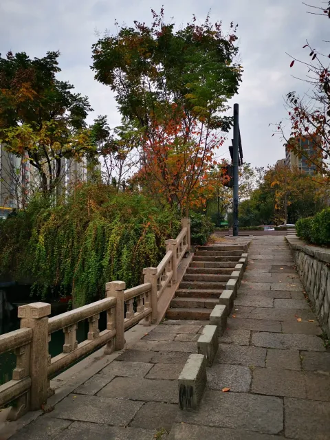 小河道景色