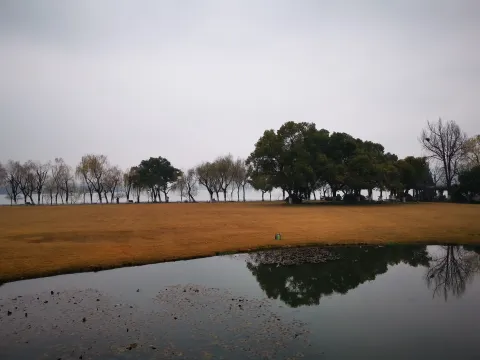 柳浪闻莺14