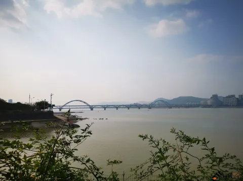 远眺钱塘江上的复兴大桥