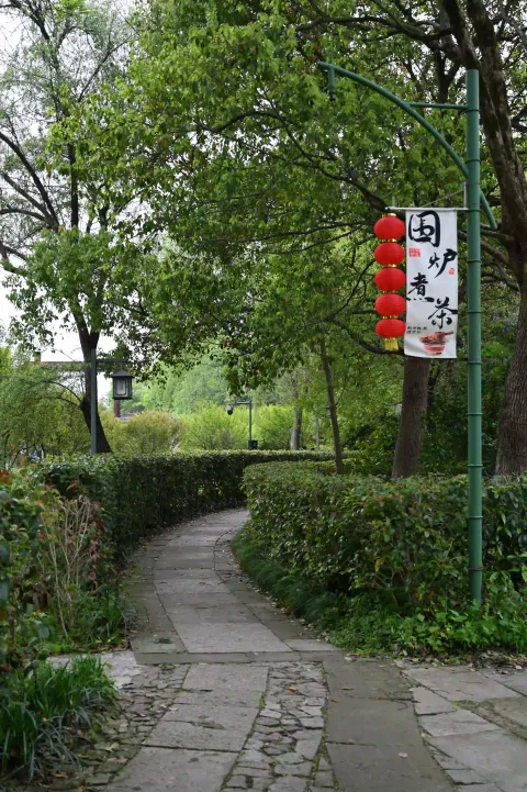 杭州西溪湿地5