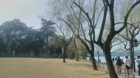 西湖苏堤、花港观鱼的游人