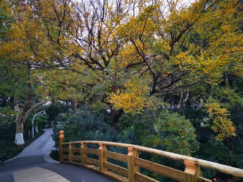 初冬，西湖湖滨的景色