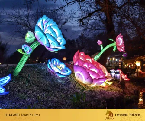夜色中坐摇橹船赏灯16