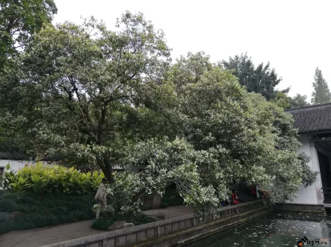 杭州植物园