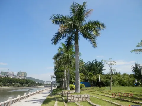 厦门白鹭洲公园