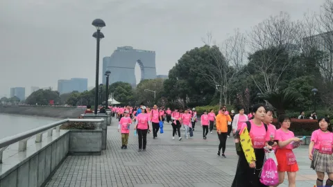 2018最美樱花徒步大会