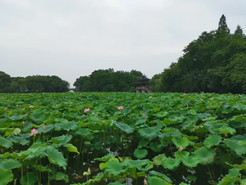 岳湖7