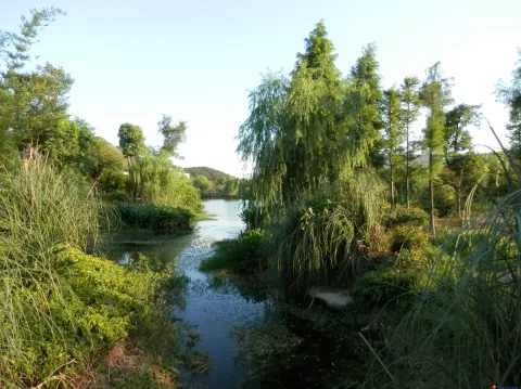 湖光山色