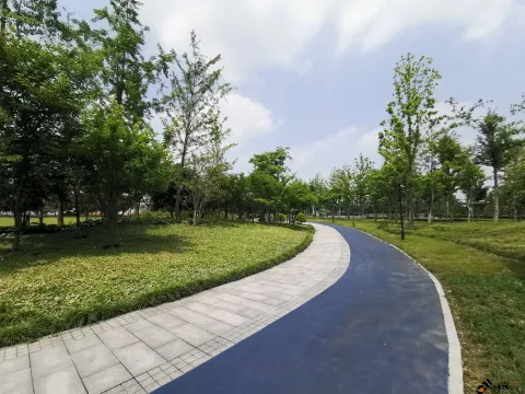 宁静而致远
