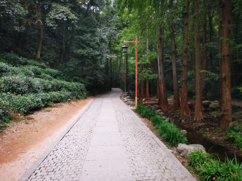 行走九溪十八涧之路