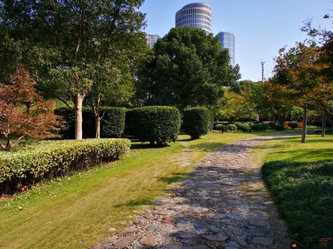 钱塘江大桥南岸的公园景色