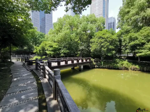 钱江新城森林公园