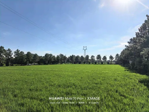 城与田5