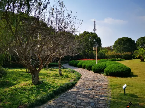 钱塘江大桥南岸的公园景色