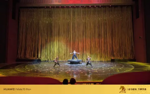 横店国际大马戏表演8