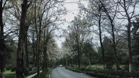 玉古路景色