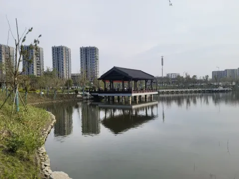 桃花湖公园16
