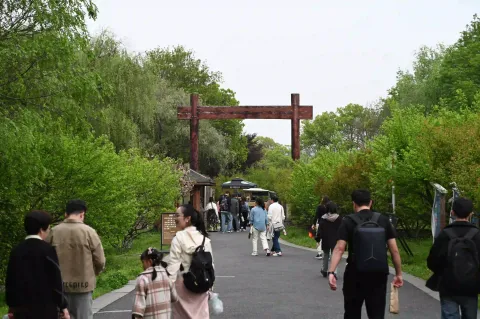 杭州西溪湿地6