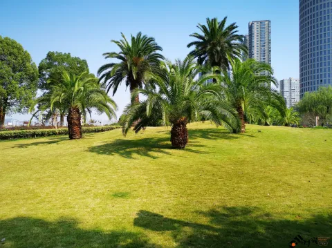 钱塘江大桥南岸的公园景色