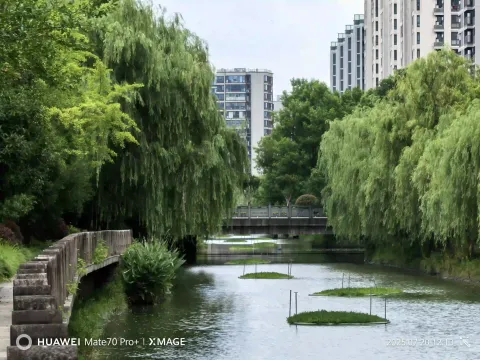 漫步滨河步道1