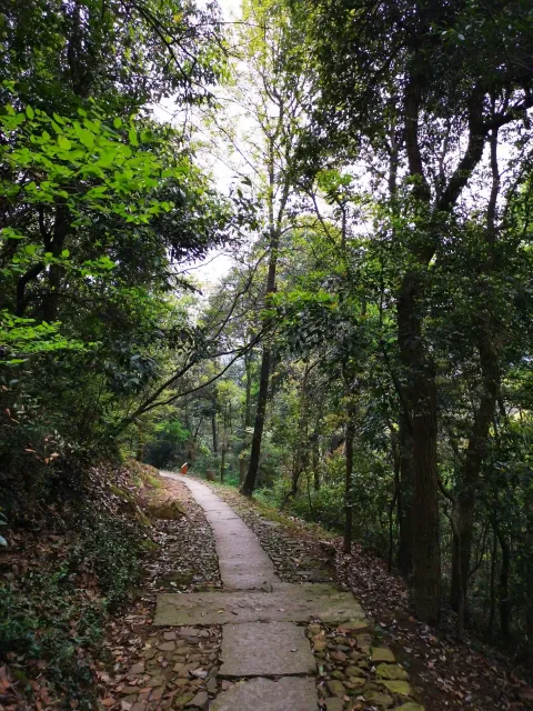五云山9