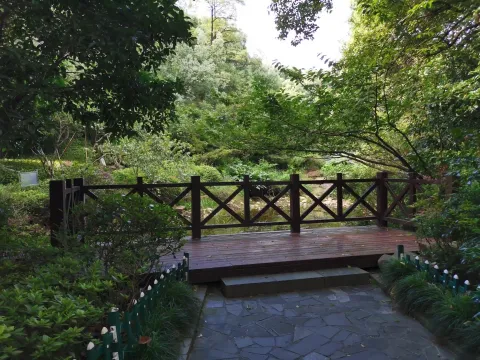 半山国家森林公园16