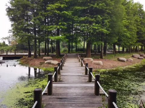 西山漾1