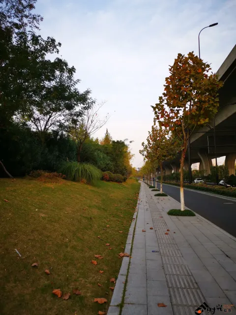 秋季的草地
