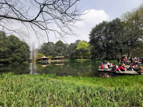 游玩太子湾公园的游人如潮