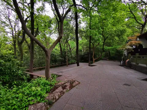 万松书院8