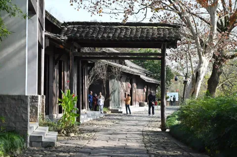 西溪湿地11