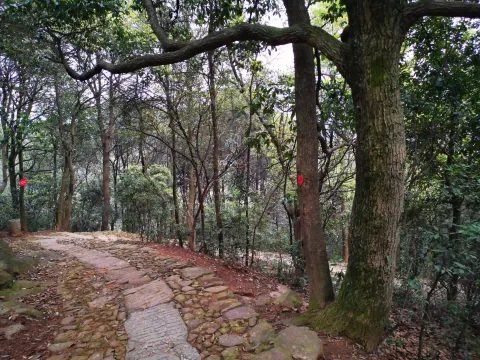 五云山14