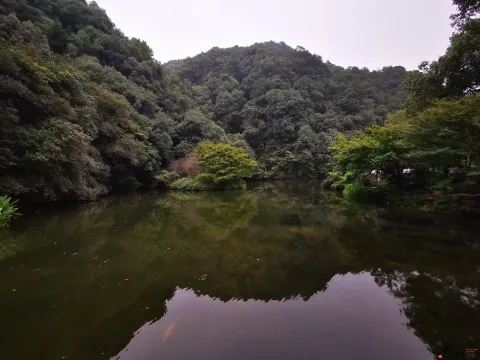 九溪路两侧的美景
