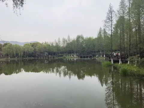 千桃园7