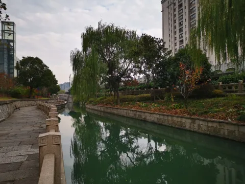 小河道景色