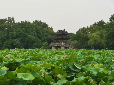岳湖4