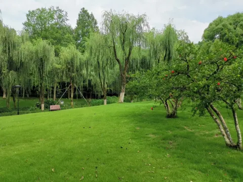 学士公园11