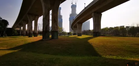 西兴大桥高11