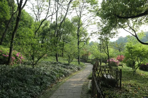 乌龟谭边幽静的石头走道