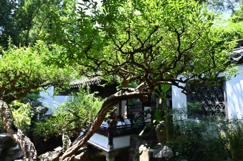 上海豫园15