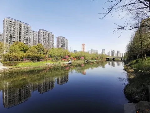 不一样的小河景致