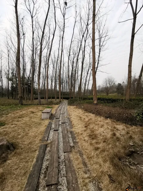 西溪国家湿地公园