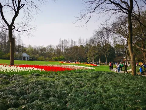 太子湾踏春24